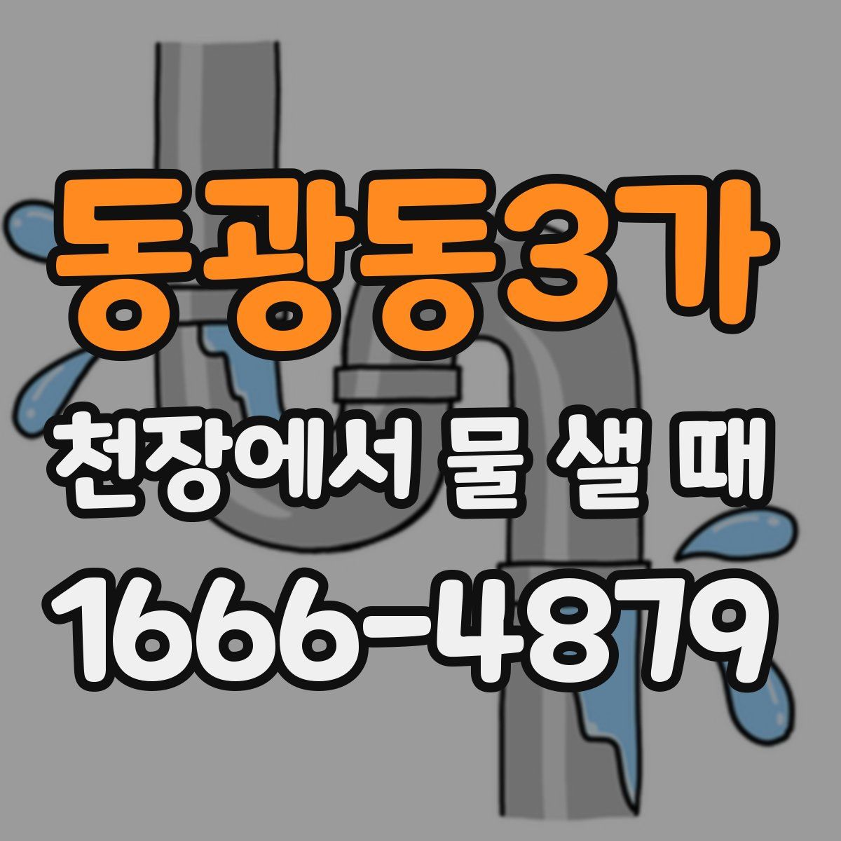 동광동3가 천장에서 물 샐 때