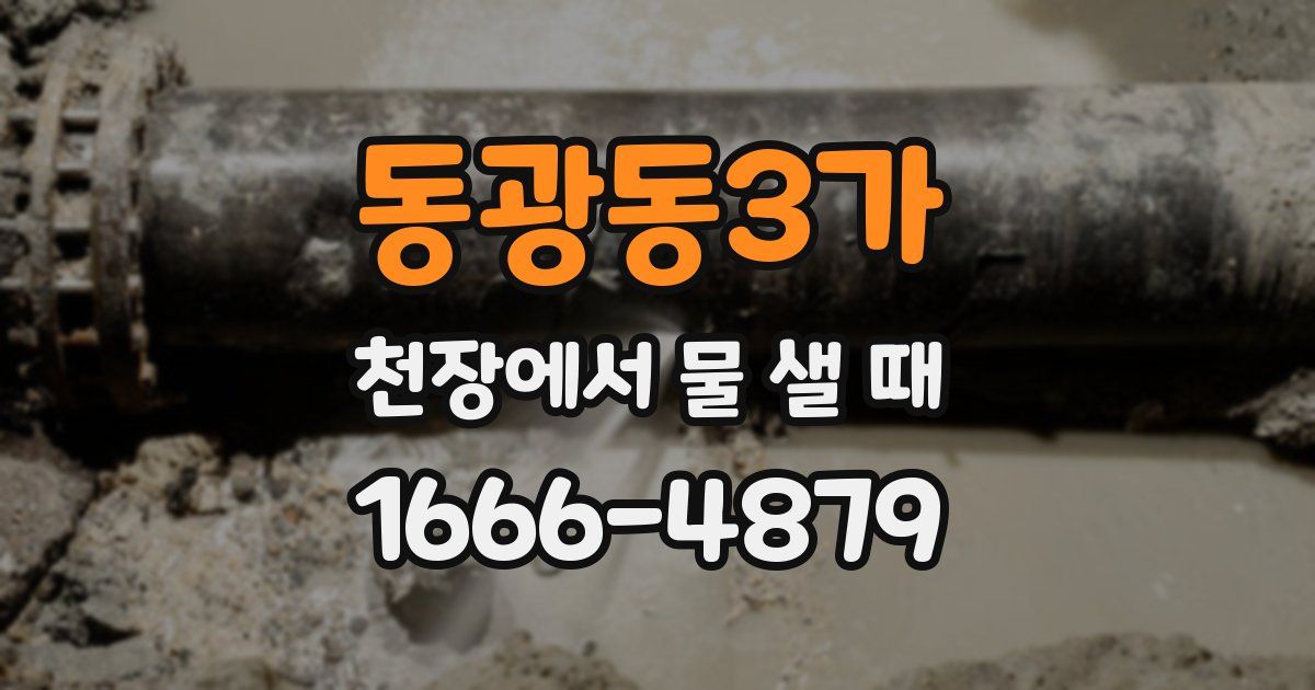 동광동3가 천장에서 물 샐 때
