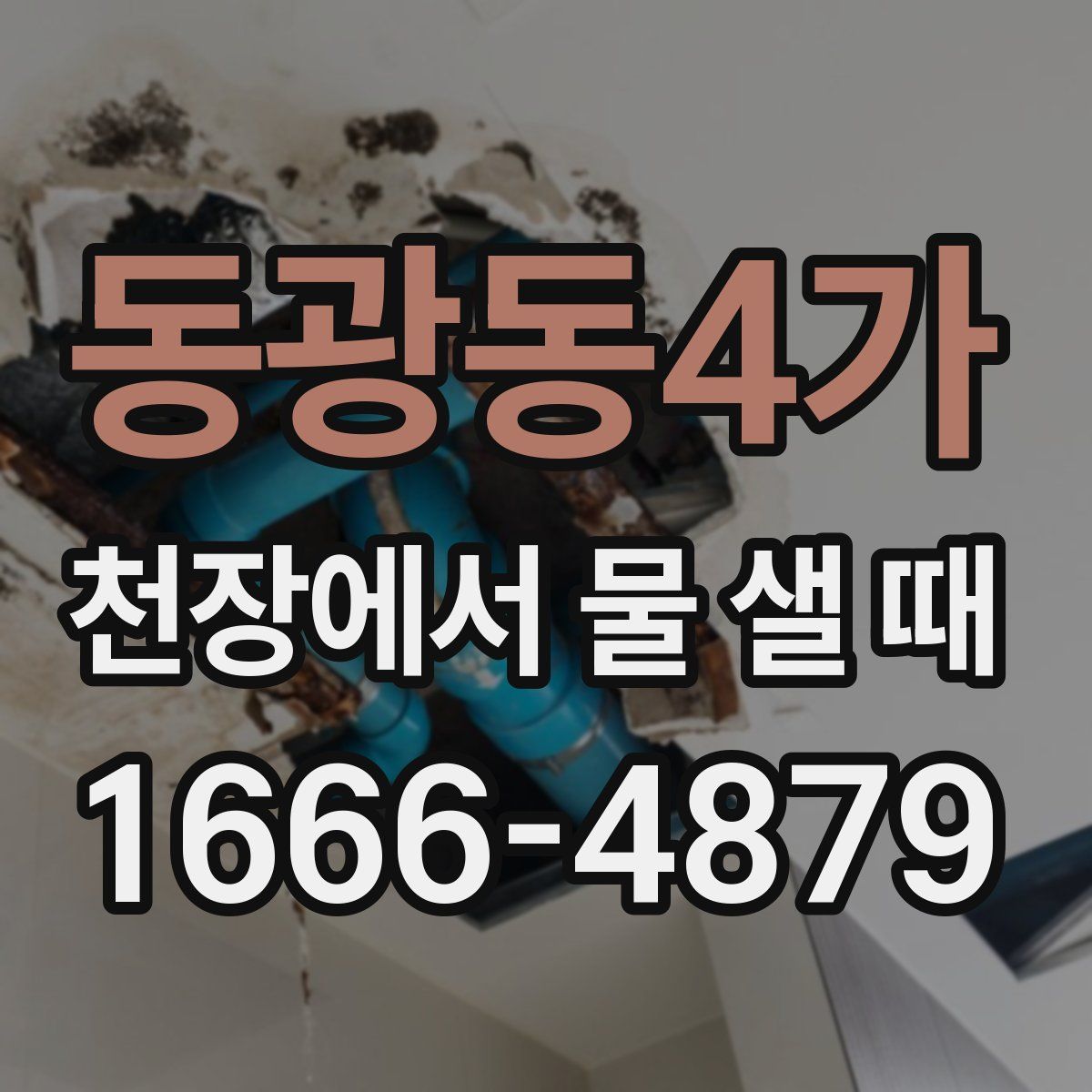 동광동4가 천장에서 물 샐 때