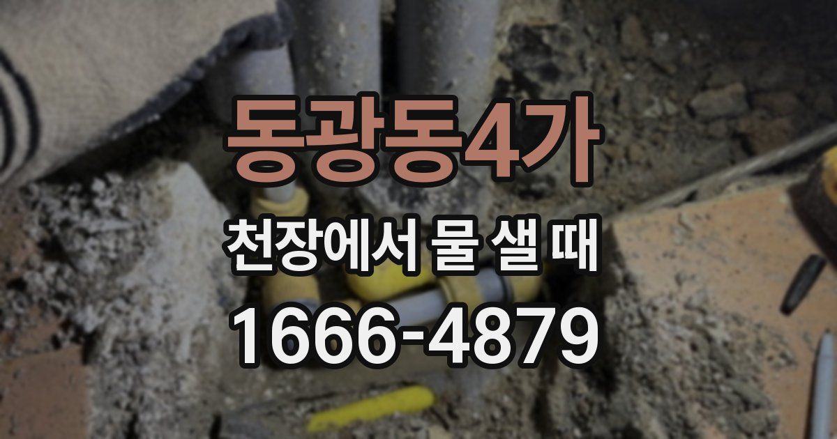 동광동4가 천장에서 물 샐 때