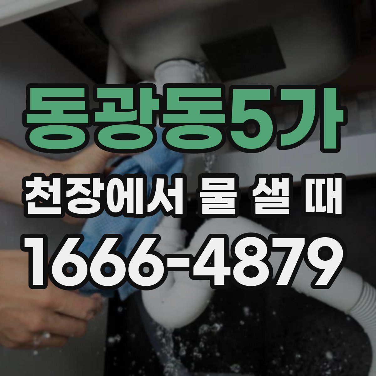 동광동5가 천장에서 물 샐 때