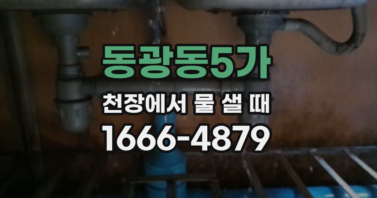 동광동5가 천장에서 물 샐 때