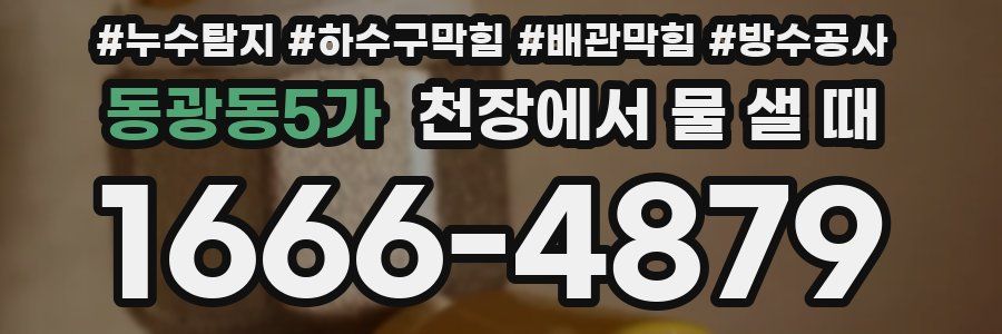 동광동5가 천장에서 물 샐 때