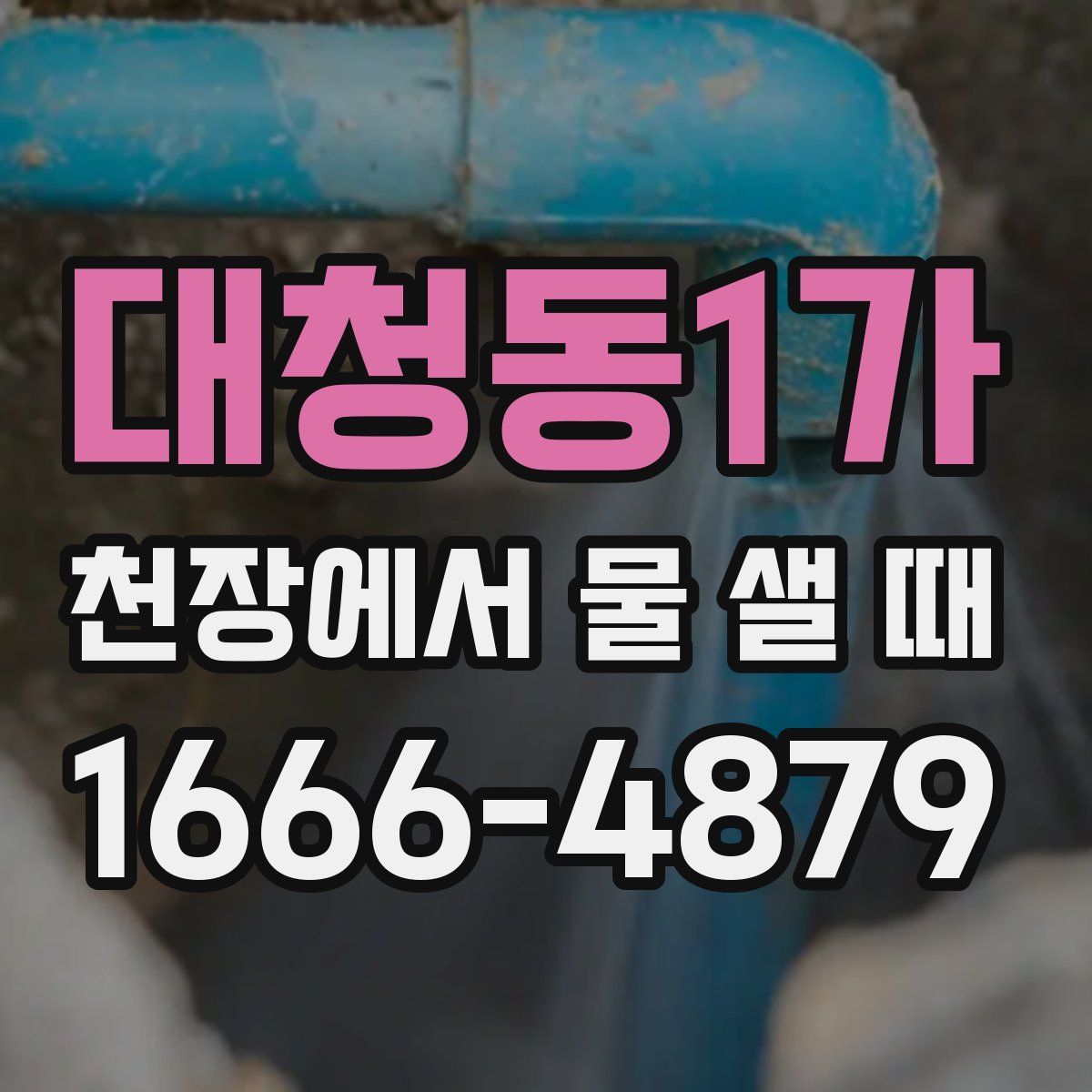대청동1가 천장에서 물 샐 때