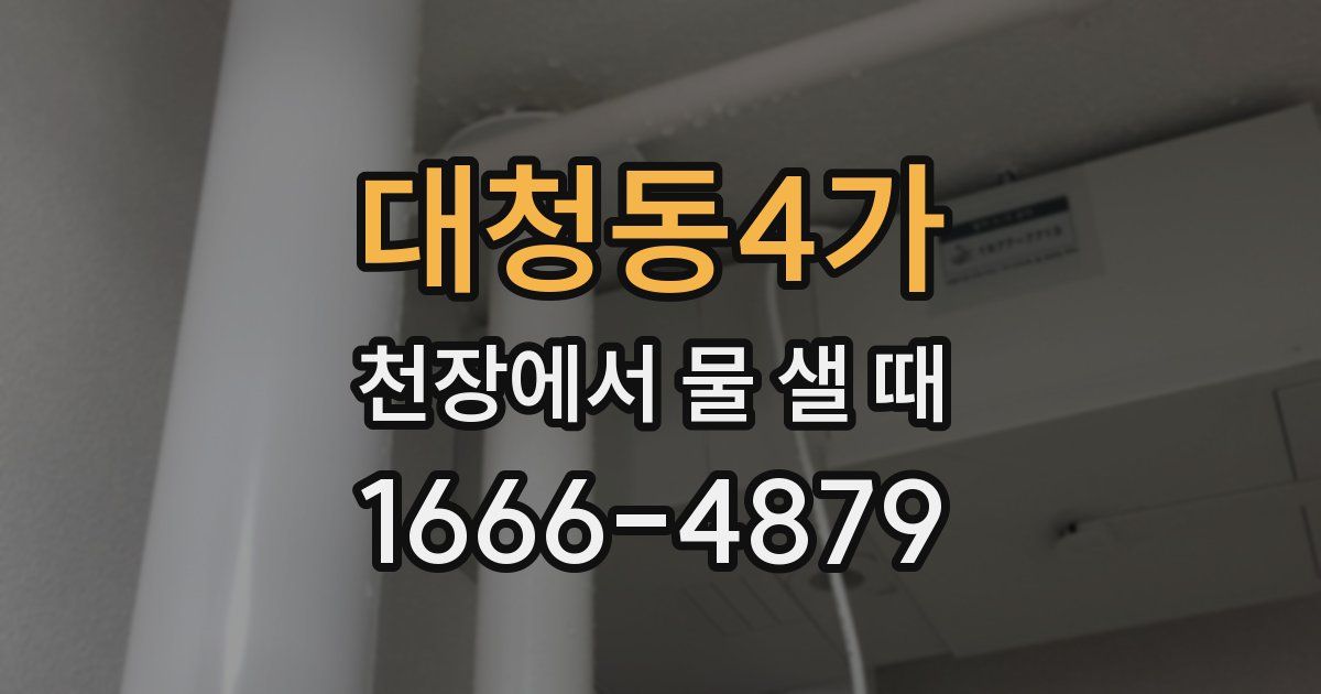 대청동4가 천장에서 물 샐 때
