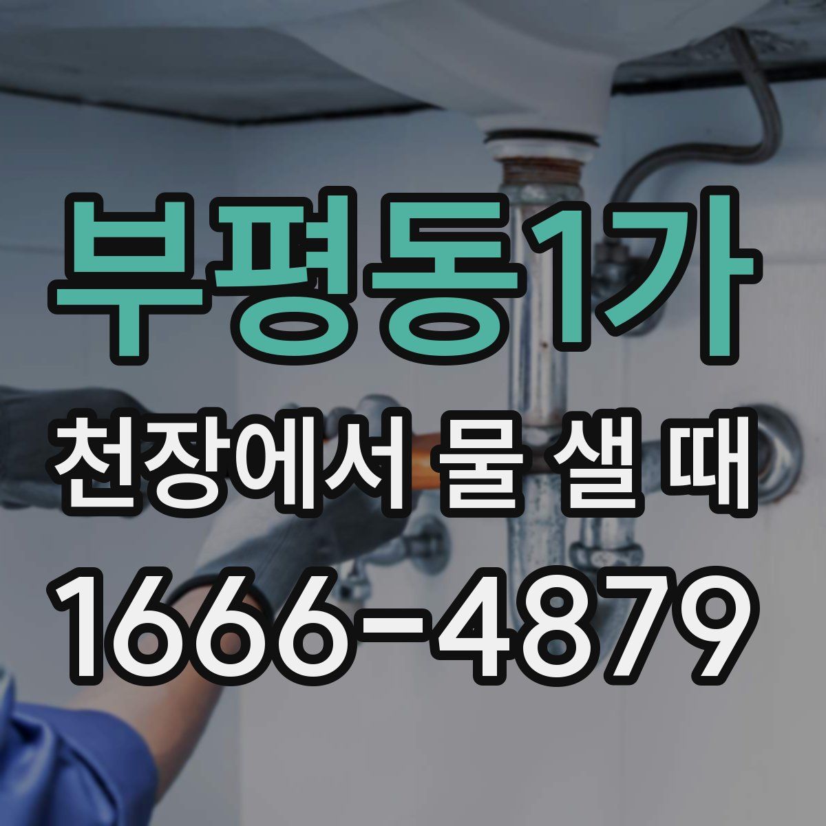 부평동1가 천장에서 물 샐 때