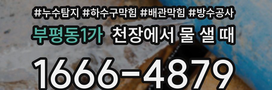 부평동1가 천장에서 물 샐 때