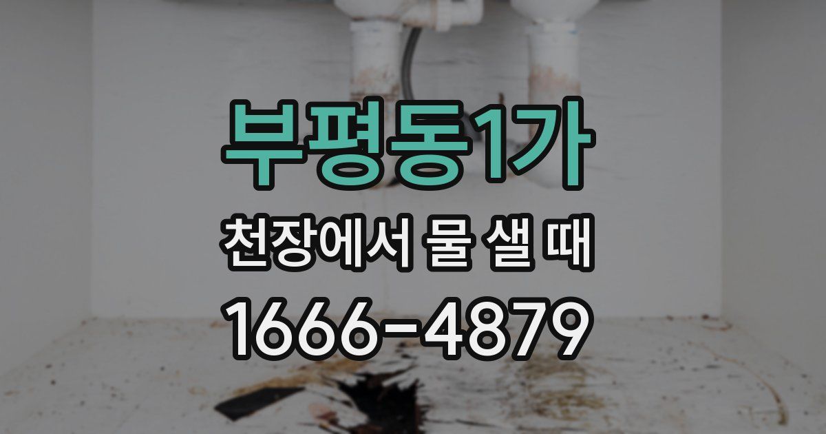 부평동1가 천장에서 물 샐 때