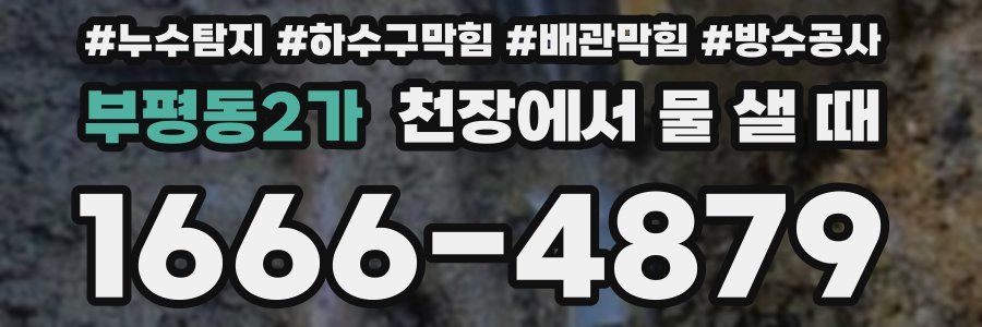 부평동2가 천장에서 물 샐 때