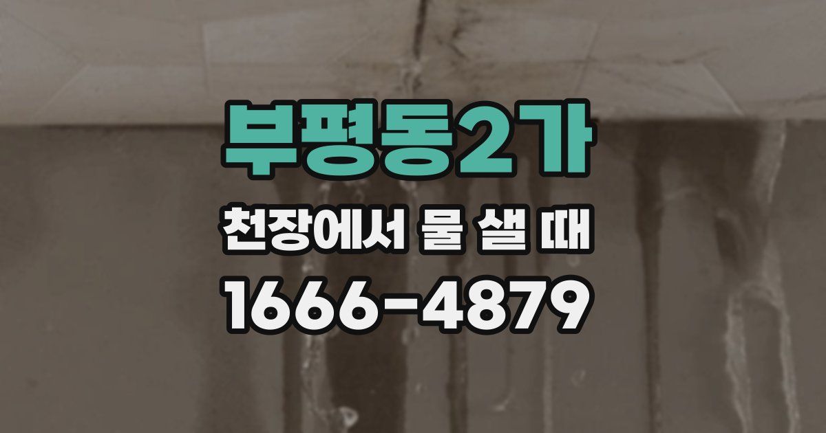 부평동2가 천장에서 물 샐 때