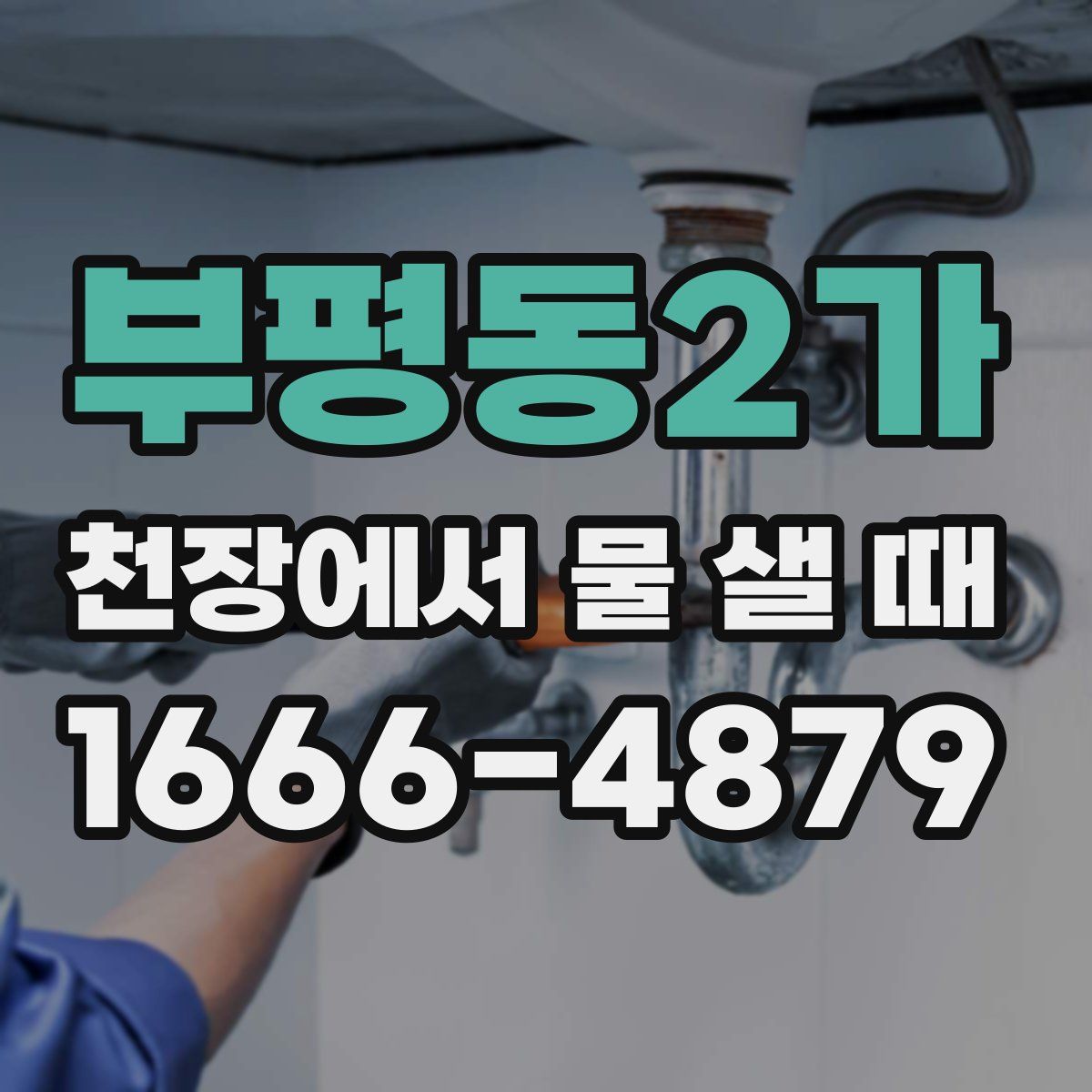 부평동2가 천장에서 물 샐 때