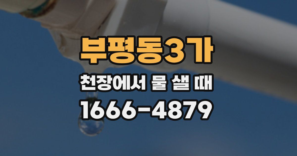 부평동3가 천장에서 물 샐 때
