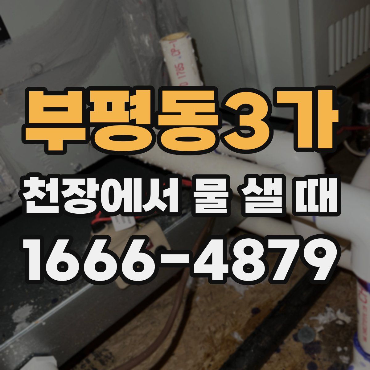 부평동3가 천장에서 물 샐 때