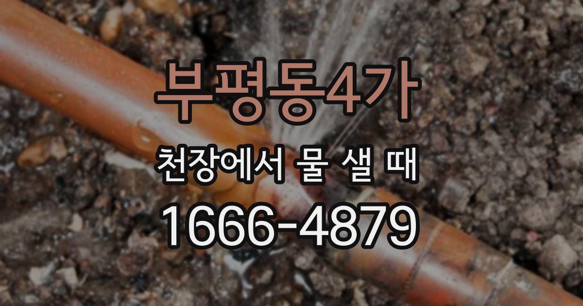 부평동4가 천장에서 물 샐 때