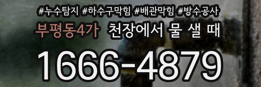 부평동4가 천장에서 물 샐 때