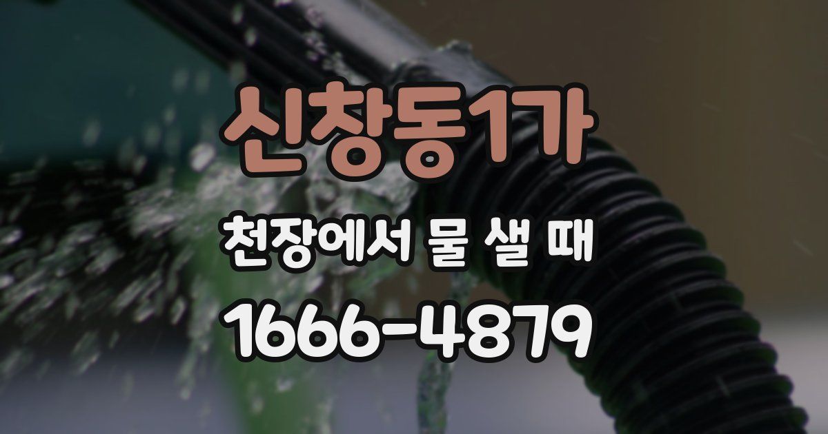 신창동1가 천장에서 물 샐 때