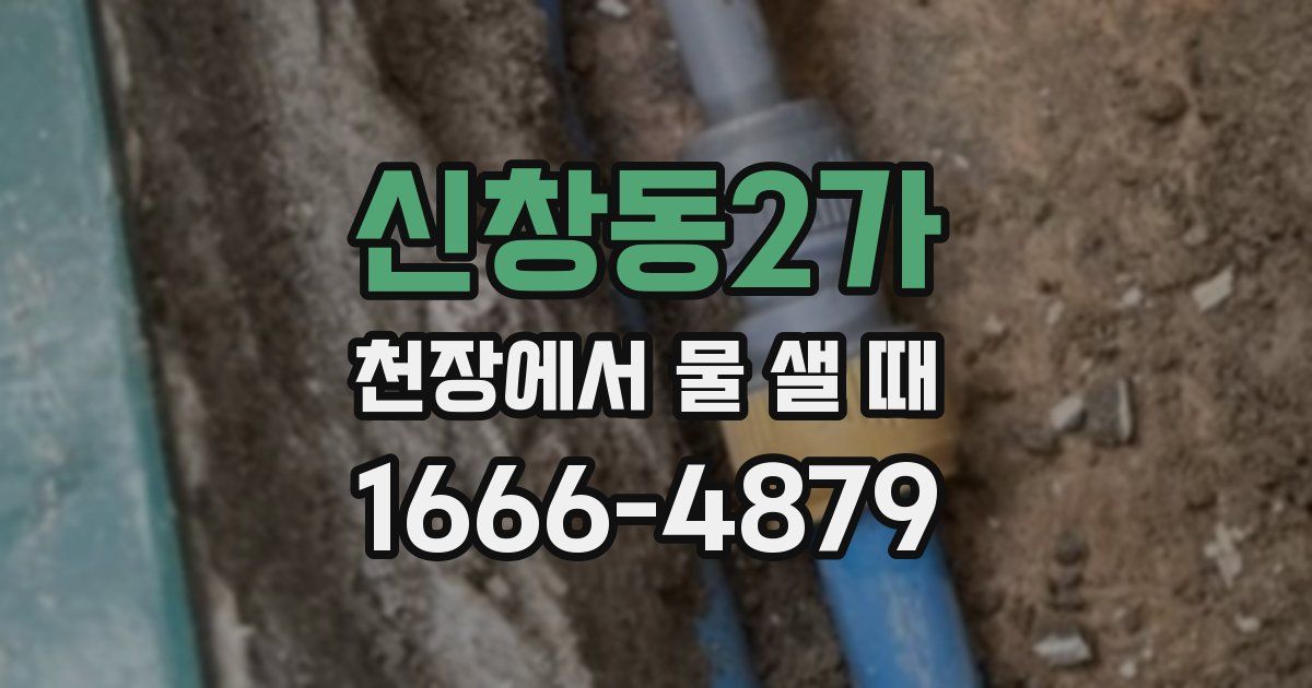 신창동2가 천장에서 물 샐 때