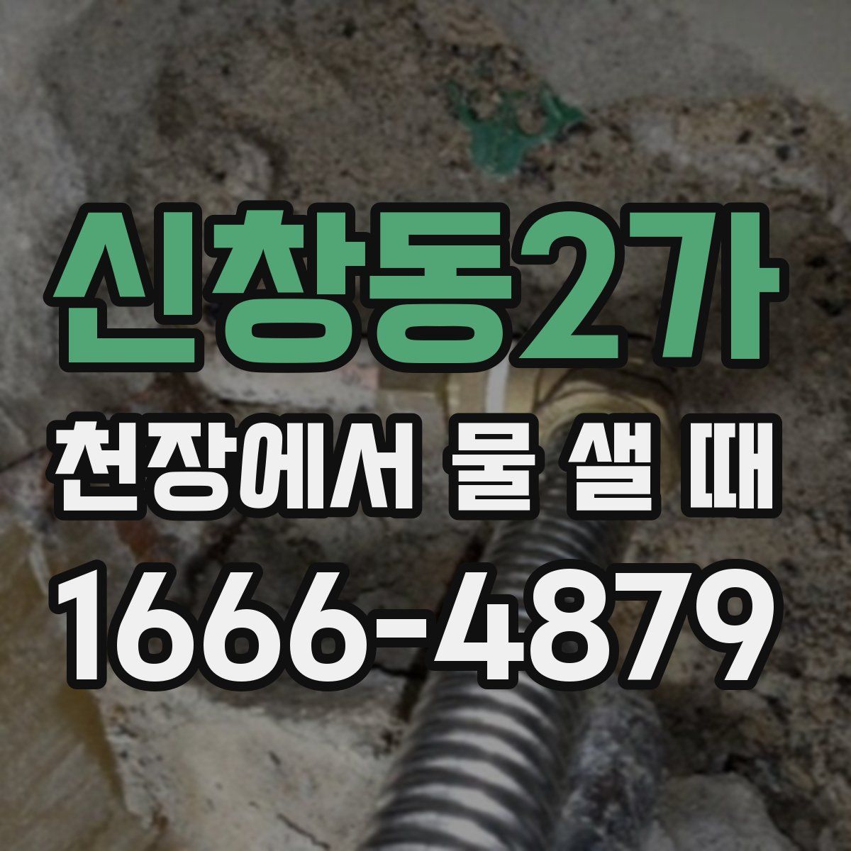 신창동2가 천장에서 물 샐 때