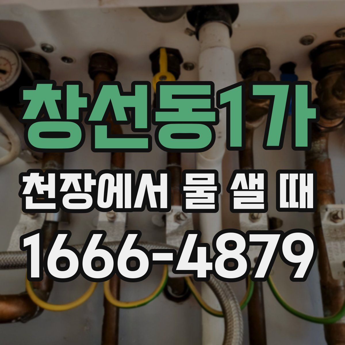 창선동1가 천장에서 물 샐 때