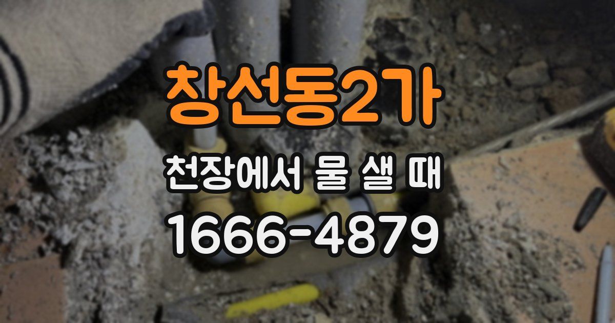 창선동2가 천장에서 물 샐 때