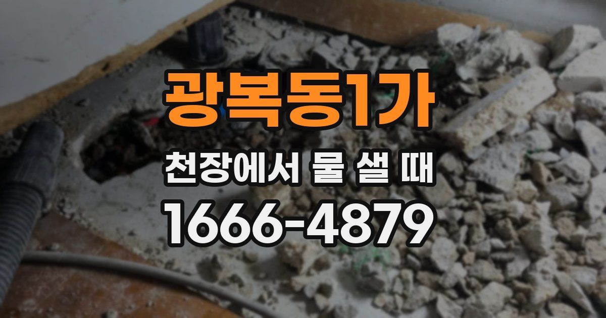 광복동1가 천장에서 물 샐 때