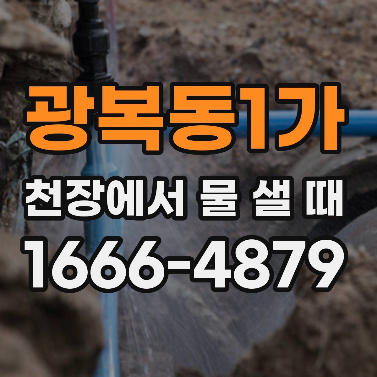 광복동1가 천장에서 물 샐 때