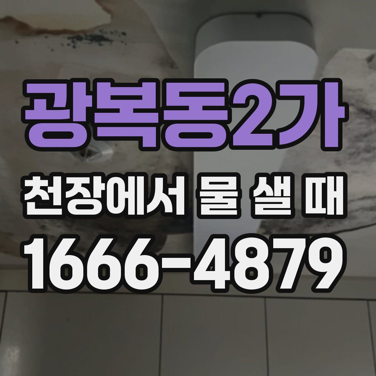 광복동2가 천장에서 물 샐 때
