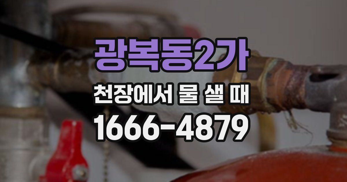 광복동2가 천장에서 물 샐 때