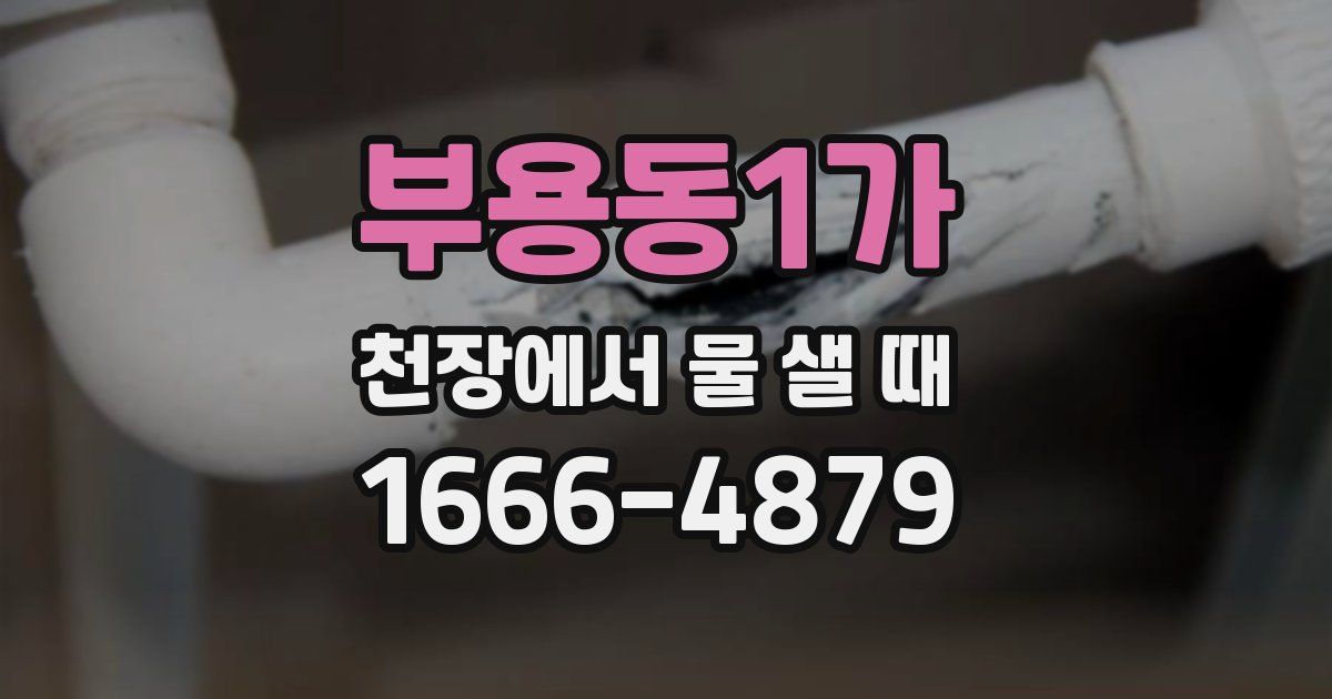 부용동1가 천장에서 물 샐 때