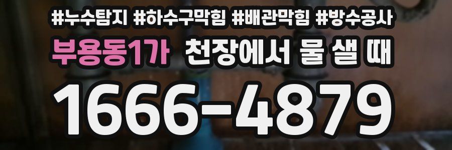 부용동1가 천장에서 물 샐 때