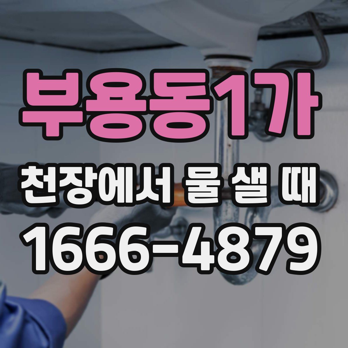 부용동1가 천장에서 물 샐 때