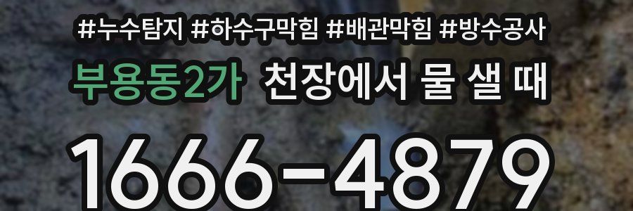 부용동2가 천장에서 물 샐 때