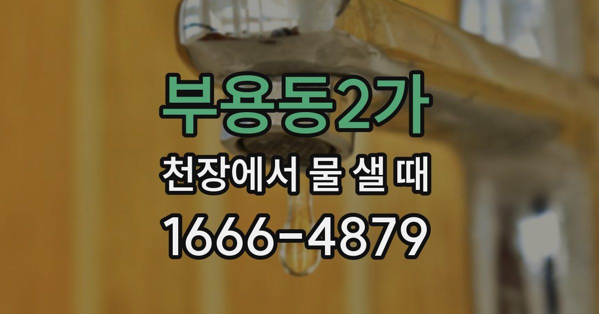 부용동2가 천장에서 물 샐 때