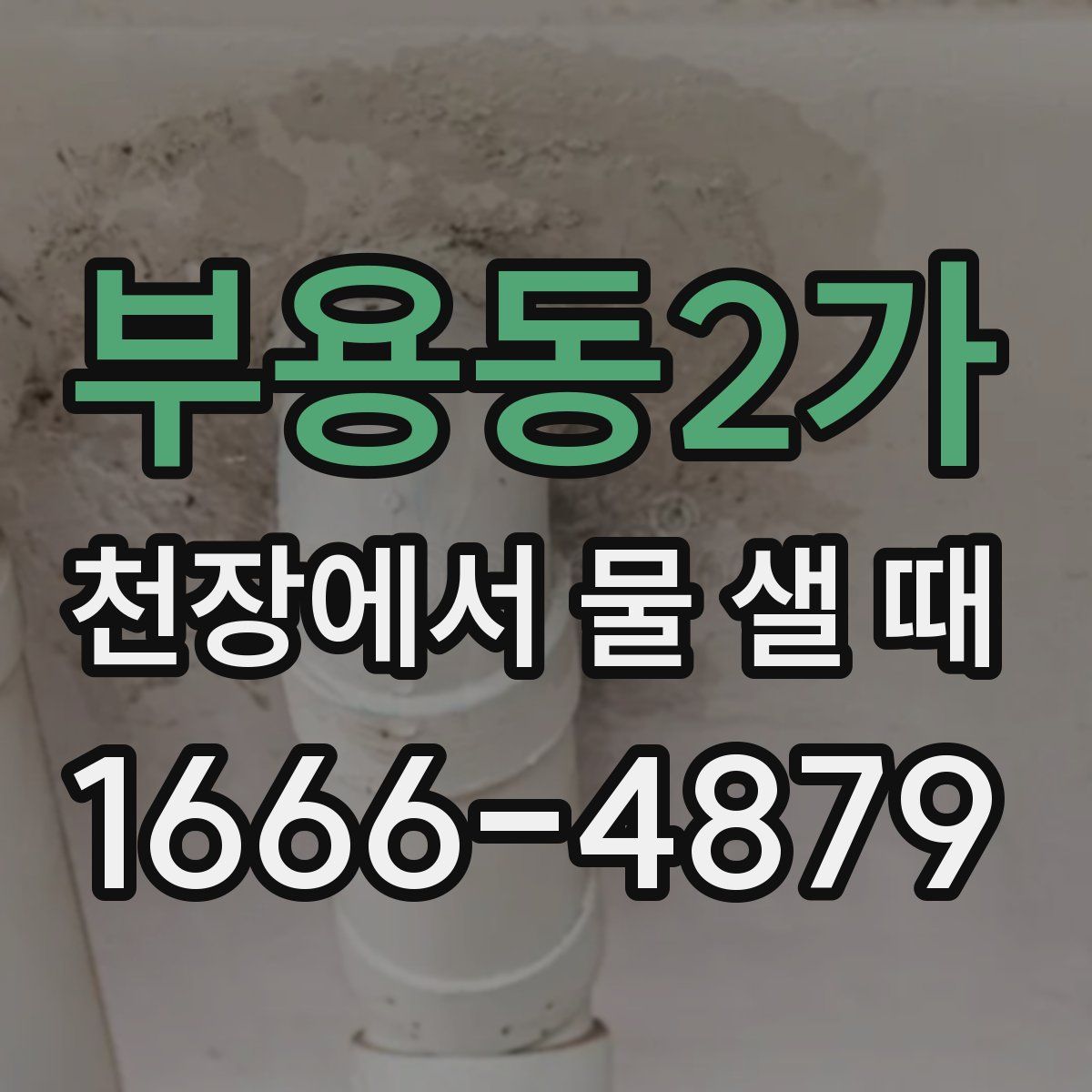 부용동2가 천장에서 물 샐 때