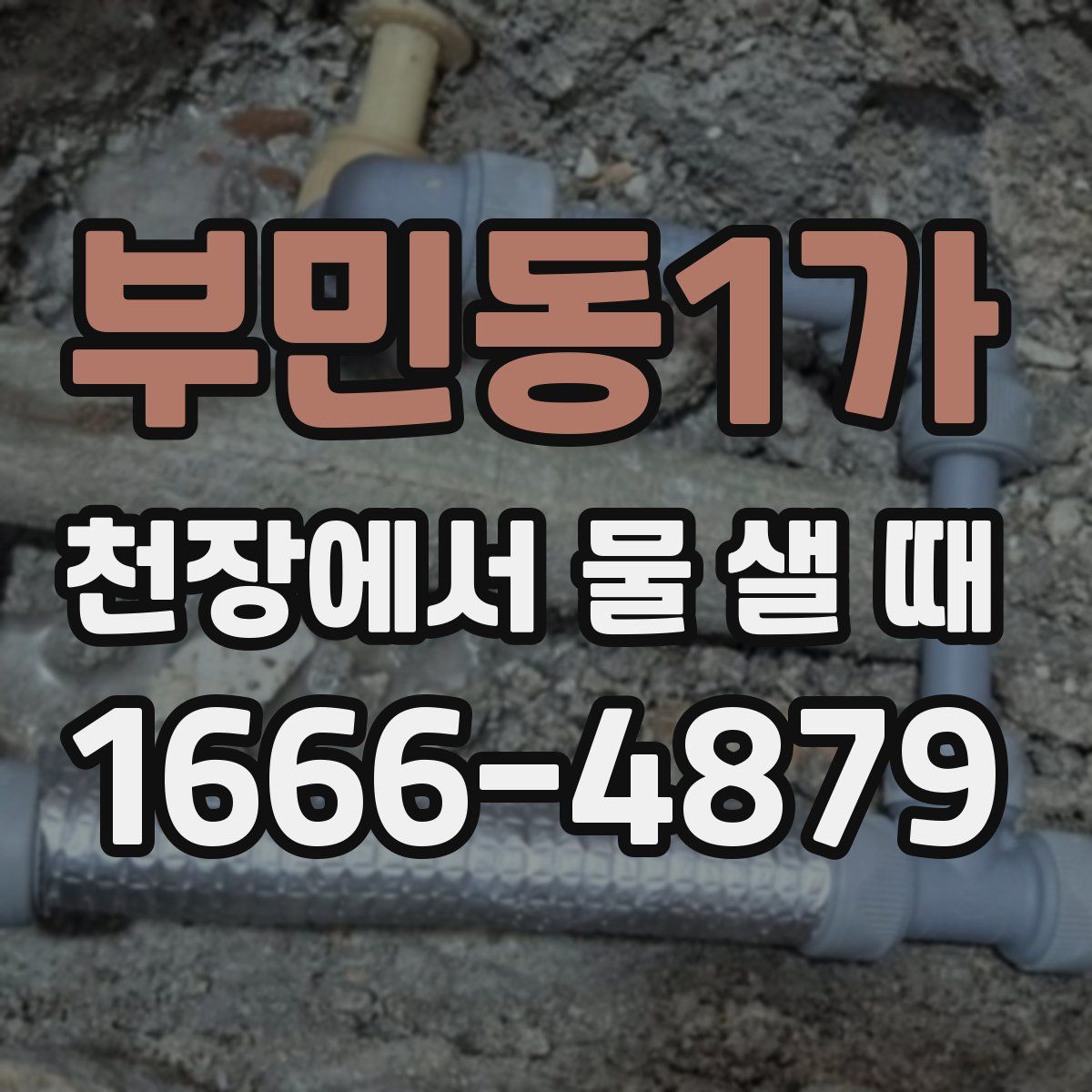 부민동1가 천장에서 물 샐 때