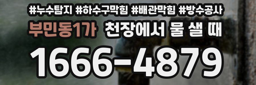 부민동1가 천장에서 물 샐 때
