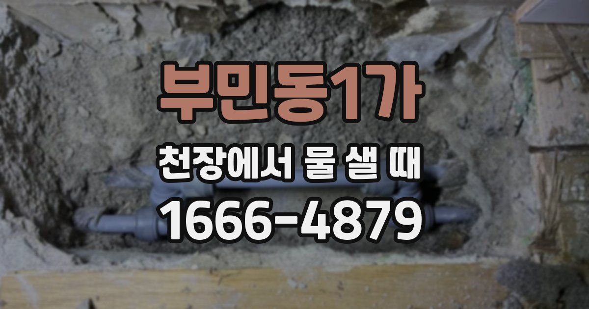 부민동1가 천장에서 물 샐 때