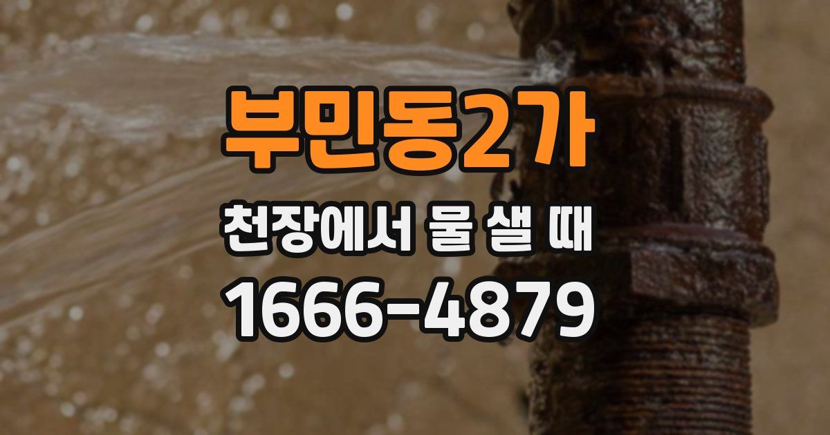 부민동2가 천장에서 물 샐 때