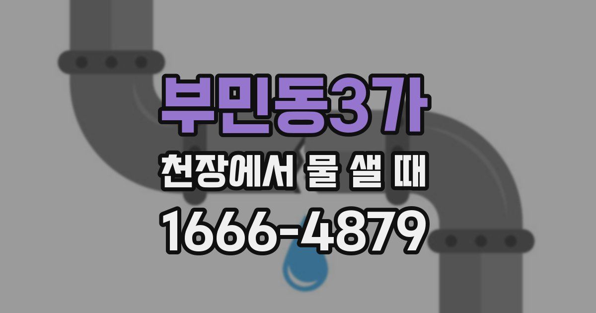 부민동3가 천장에서 물 샐 때