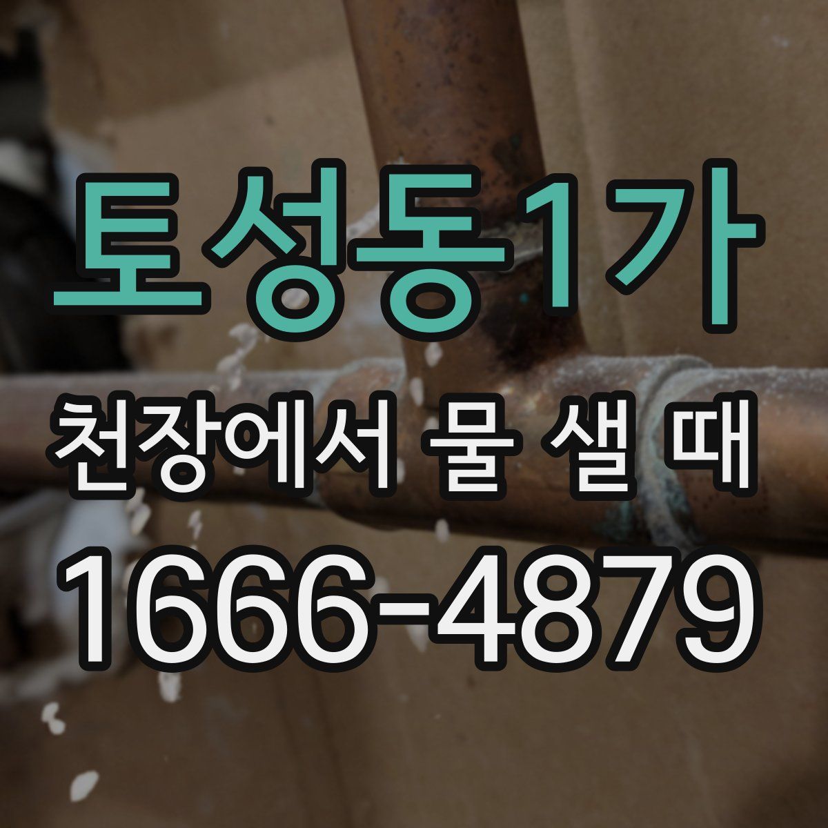 토성동1가 천장에서 물 샐 때