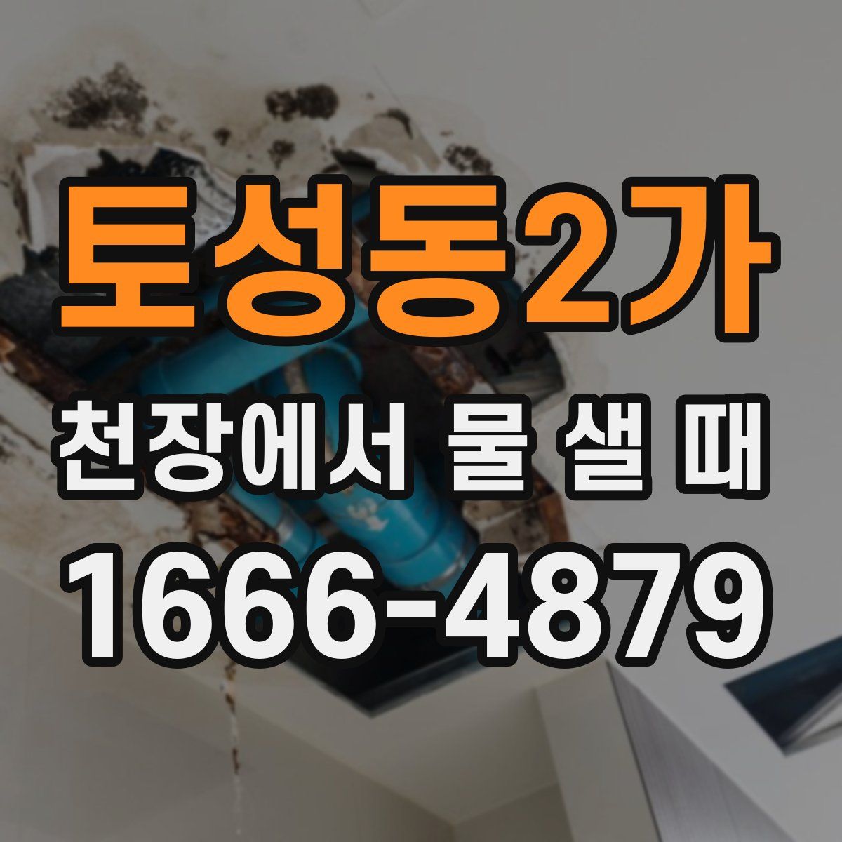 토성동2가 천장에서 물 샐 때
