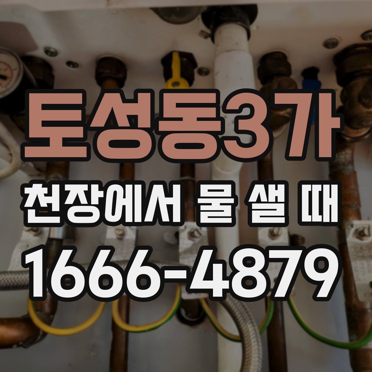 토성동3가 천장에서 물 샐 때