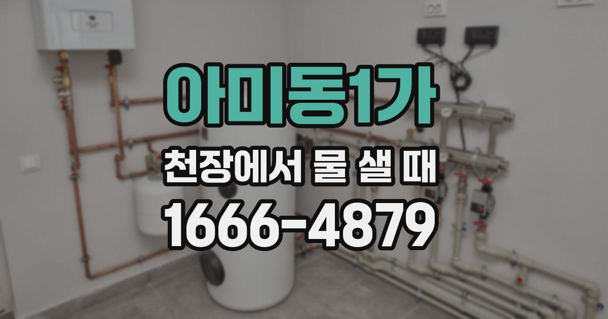 아미동1가 천장에서 물 샐 때