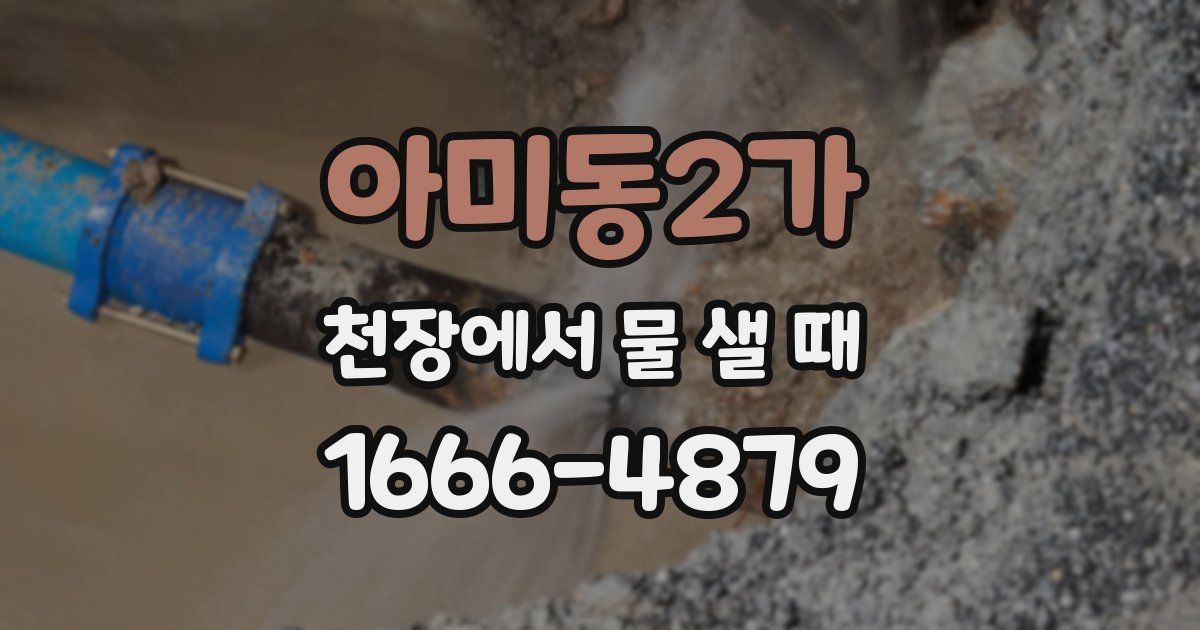 아미동2가 천장에서 물 샐 때