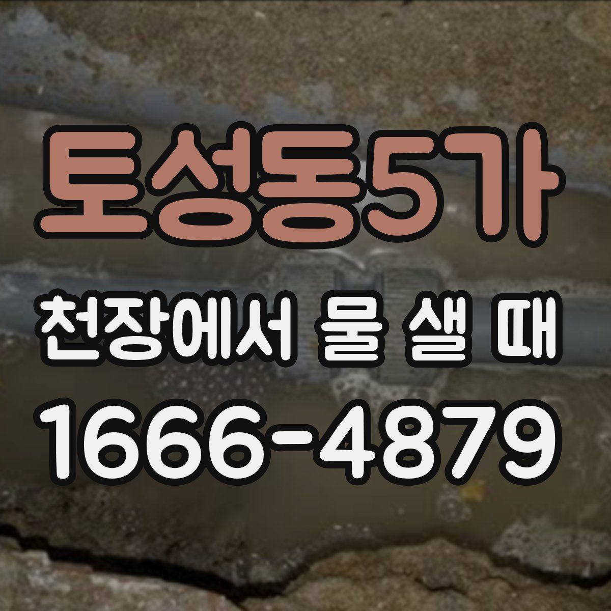 토성동5가 천장에서 물 샐 때