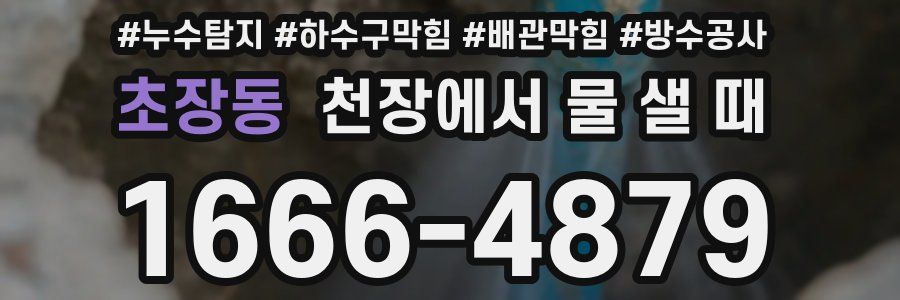 초장동 천장에서 물 샐 때