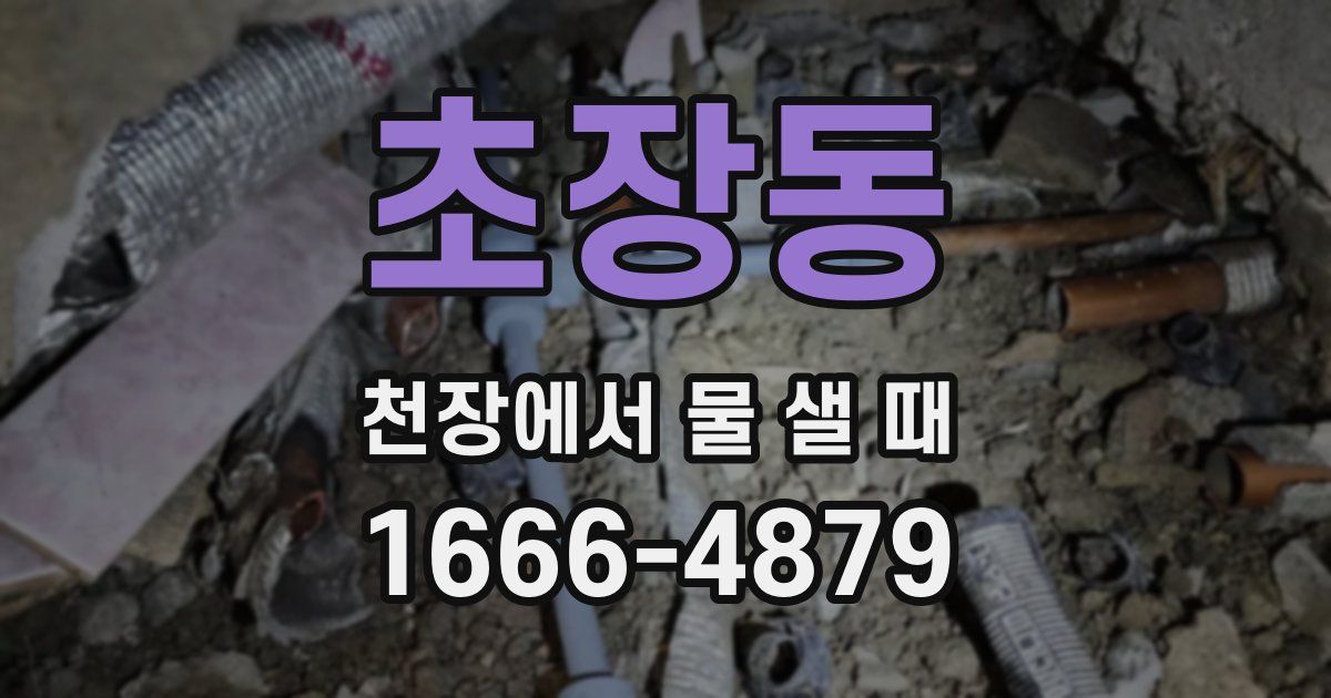 초장동 천장에서 물 샐 때