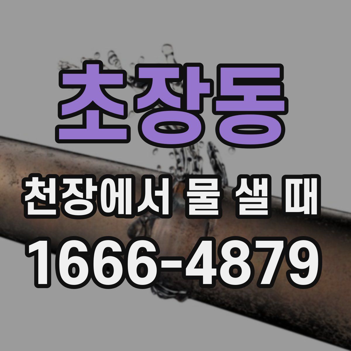 초장동 천장에서 물 샐 때