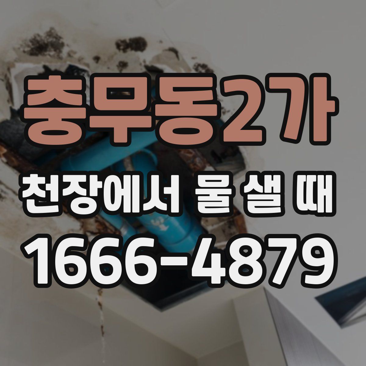 충무동2가 천장에서 물 샐 때