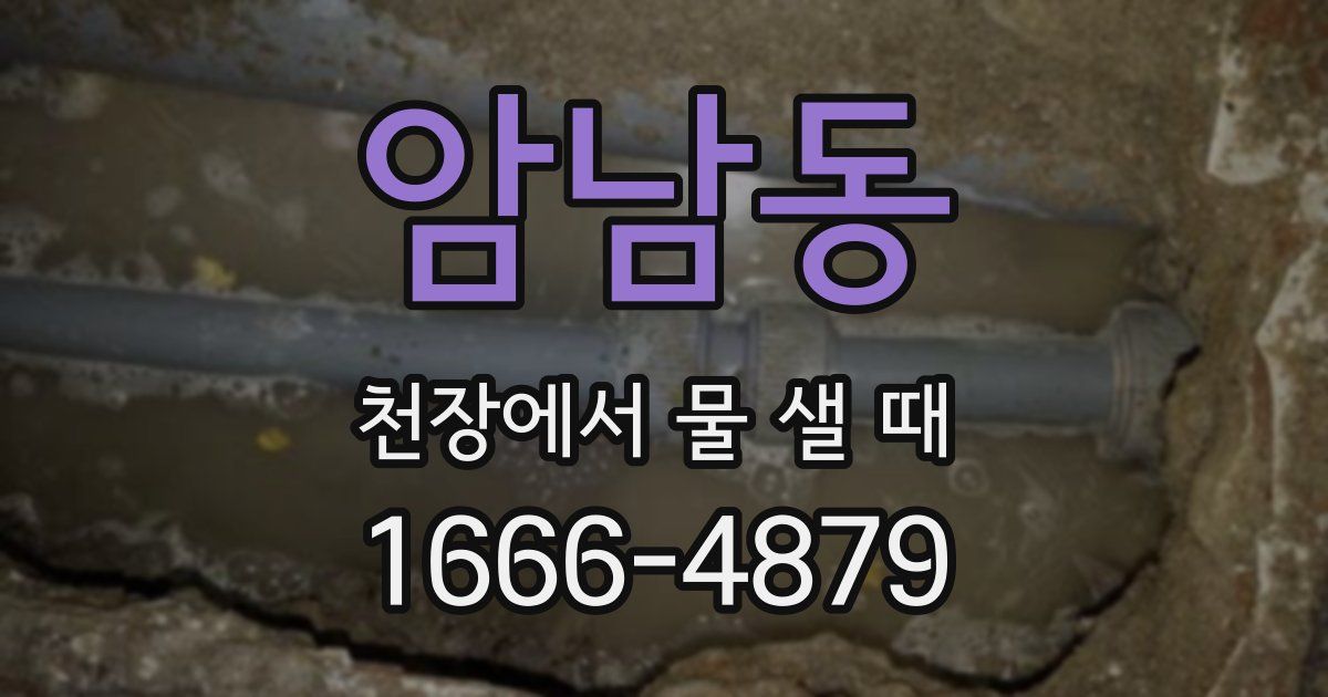 암남동 천장에서 물 샐 때